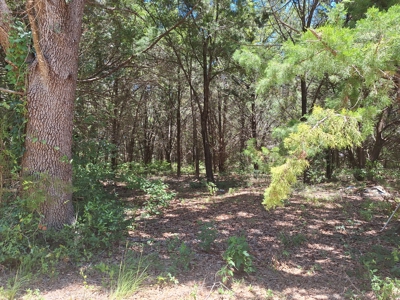 5 Acre Corner Lot At Carter's Crossroads With 3 Bedroom Home - image 28