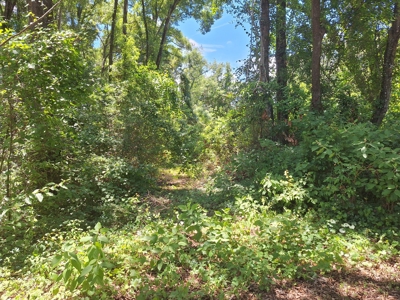 5 Acre Corner Lot At Carter's Crossroads With 3 Bedroom Home - image 23