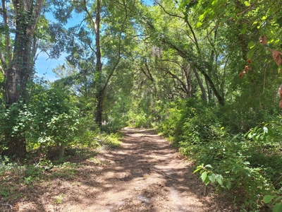 5 Acre Corner Lot At Carter's Crossroads With 3 Bedroom Home - image 22