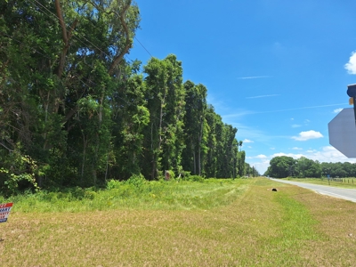 5 Acre Corner Lot At Carter's Crossroads With 3 Bedroom Home - image 33