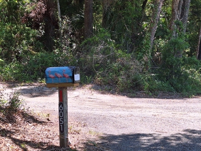 5 Acre Corner Lot At Carter's Crossroads With 3 Bedroom Home - image 37