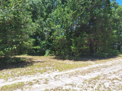5 Acre Corner Lot At Carter's Crossroads With 3 Bedroom Home - image 27