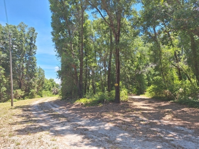 5 Acre Corner Lot At Carter's Crossroads With 3 Bedroom Home - image 20