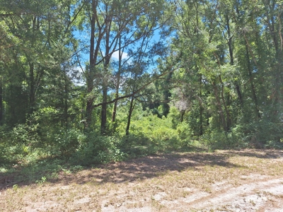 5 Acre Corner Lot At Carter's Crossroads With 3 Bedroom Home - image 29