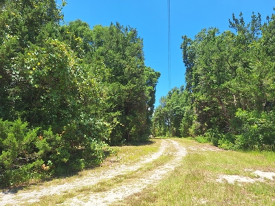 5 Acre Corner Lot At Carter's Crossroads With 3 Bedroom Home - image 25