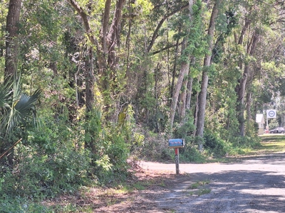 5 Acre Corner Lot At Carter's Crossroads With 3 Bedroom Home - image 36