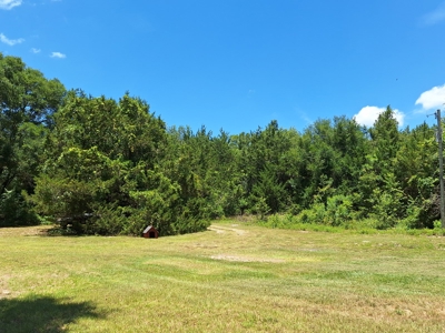 5 Acre Corner Lot At Carter's Crossroads With 3 Bedroom Home - image 14