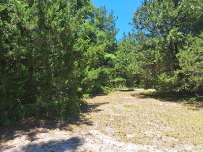 5 Acre Corner Lot At Carter's Crossroads With 3 Bedroom Home - image 24