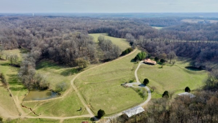 Premier 109+/- Acre Cattle Farm in Giles County, Tennessee - image 5