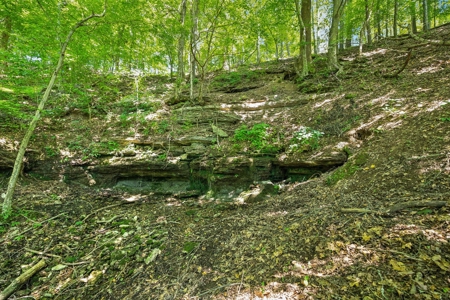 Premier 109+/- Acre Cattle Farm in Giles County, Tennessee - image 47