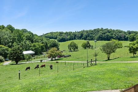 Premier 109+/- Acre Cattle Farm in Giles County, Tennessee - image 38