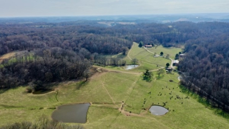 Premier 109+/- Acre Cattle Farm in Giles County, Tennessee - image 3