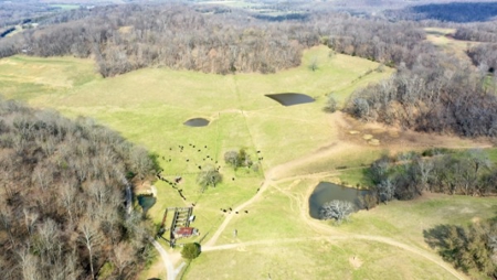Premier 109+/- Acre Cattle Farm in Giles County, Tennessee - image 38