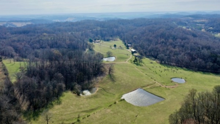 Premier 109+/- Acre Cattle Farm in Giles County, Tennessee - image 2