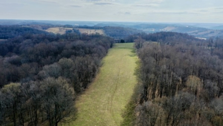 Premier 109+/- Acre Cattle Farm in Giles County, Tennessee - image 41