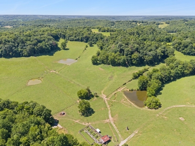 Premier 109+/- Acre Cattle Farm in Giles County, Tennessee - image 40