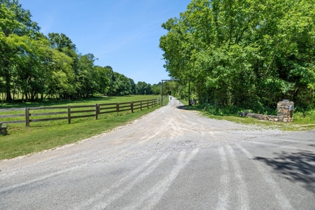 Premier 109+/- Acre Cattle Farm in Giles County, Tennessee - image 45