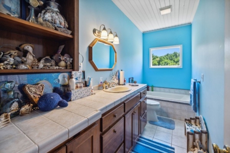 Premier 109+/- Acre Cattle Farm in Giles County, Tennessee - image 29