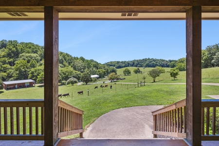 Premier 109+/- Acre Cattle Farm in Giles County, Tennessee - image 1