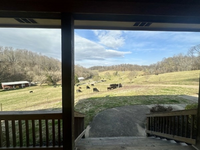 Premier 109+/- Acre Cattle Farm in Giles County, Tennessee - image 8