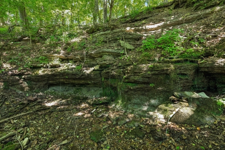 Premier 109+/- Acre Cattle Farm in Giles County, Tennessee - image 46