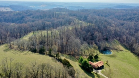 Premier 109+/- Acre Cattle Farm in Giles County, Tennessee - image 40