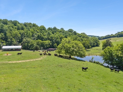 Premier 109+/- Acre Cattle Farm in Giles County, Tennessee - image 37