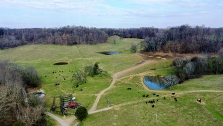 Premier 109+/- Acre Cattle Farm in Giles County, Tennessee - image 39