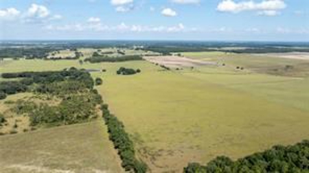Large Equestrain Acreage Marion County Dunnellon Florida - image 5