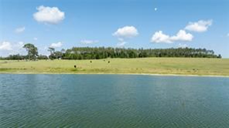 Large Equestrain Acreage Marion County Dunnellon Florida - image 3