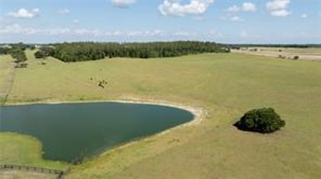Large Equestrain Acreage Marion County Dunnellon Florida - image 1