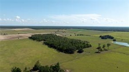 Large Equestrain Acreage Marion County Dunnellon Florida - image 2
