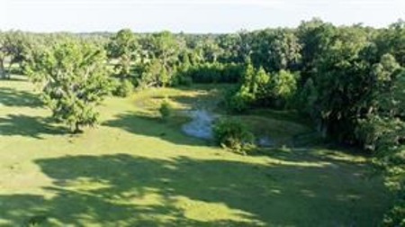 Large Equestrain Acreage Marion County Morriston  Florida - image 10