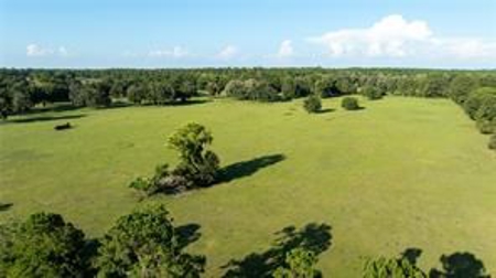 Large Equestrain Acreage Marion County Morriston  Florida - image 2