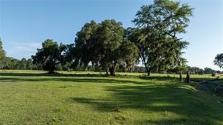 Large Equestrain Acreage Marion County Morriston  Florida - image 7