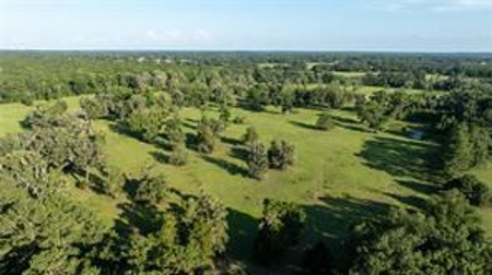 Large Equestrain Acreage Marion County Morriston  Florida - image 11