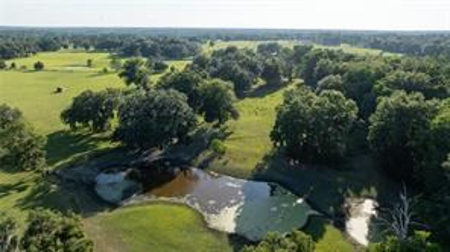 Large Equestrain Acreage Marion County Morriston  Florida - image 9