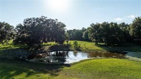 Large Equestrain Acreage Marion County Morriston  Florida - image 8