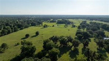 Large Equestrain Acreage Marion County Morriston  Florida - image 6