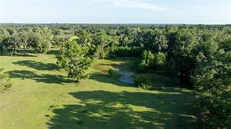 Large Equestrain Acreage Marion County Morriston  Florida - image 5