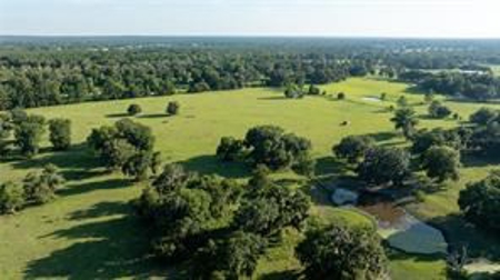 Large Equestrain Acreage Marion County Morriston  Florida - image 13