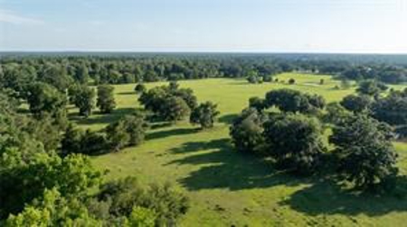 Large Equestrain Acreage Marion County Morriston  Florida - image 4
