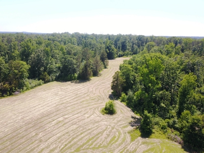 Country Home For Sale In Mcnairy Tn With 79.2 Acres - image 36