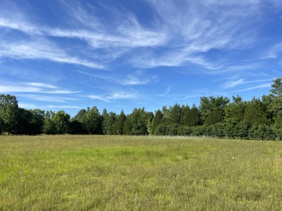 Country Home For Sale In Mcnairy Tn With 79.2 Acres - image 48