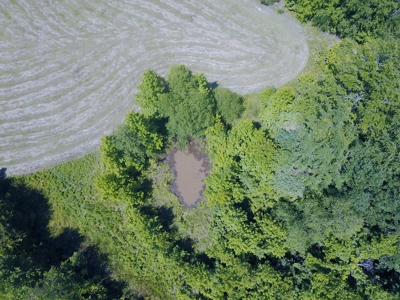 Country Home For Sale In Mcnairy Tn With 79.2 Acres - image 37