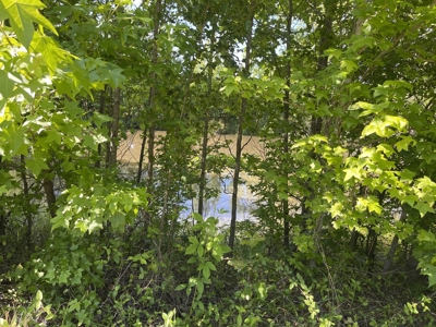 Country Home For Sale In Mcnairy Tn With 79.2 Acres - image 31