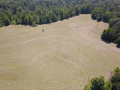 Country Home For Sale In Mcnairy Tn With 79.2 Acres - image 2