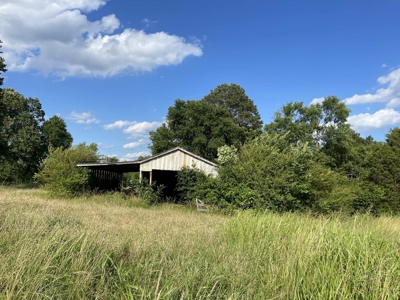 Country Home For Sale In Mcnairy Tn With 79.2 Acres - image 46