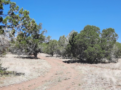 TURN KEY Northern AZ off Grid Cabin - image 29