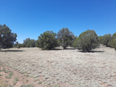 TURN KEY Northern AZ off Grid Cabin - image 26